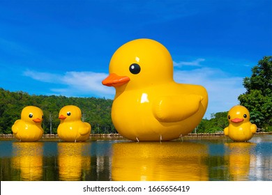 Big Yellow Rubber Ducks In The Lake 