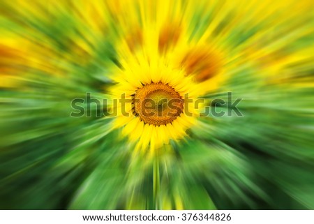 Similar – Spring meadow with blooming dandelion and lush green grass in the sunshine