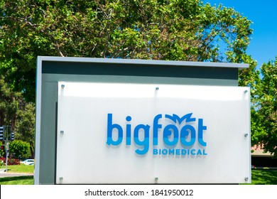 Bigfoot Biomedical Logo At Medical Technology Startup Headquarters - Milpitas, CA, USA - 2020