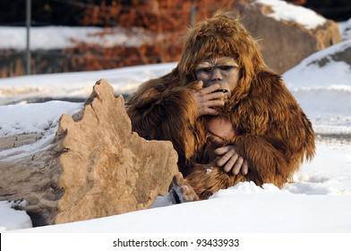 Bigfoot Puppet In North American Folklore, Bigfoot Or Sasquatch Are Said To Be Hairy, Upright-walking, Ape-like Creatures That Dwell In The Wilderness And Leave Footprints. 