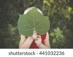 The Biggest Leaf