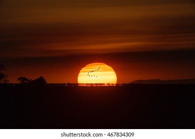 The biggest Sunset