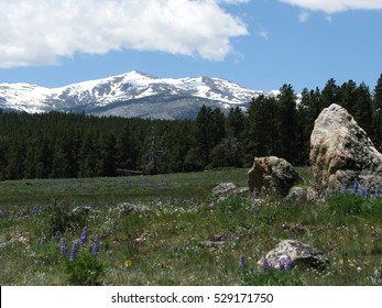 Bighorn Mountains, Wyoming, USA