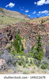 Bighorn National Forest In Wyoming