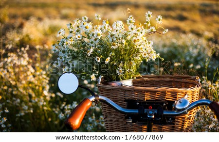bike with basket with flowers against daisy field  background