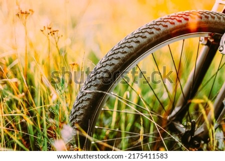 Bike Bicycle Wheel In Summer Green Grass Meadow Field. Close Up Detail. Sunset Sunrise Time Sunlight. Focus On Wheel. Active Healthy Lifestyle Leisure Concept. Bicycling On Summer Fresh Green Grass