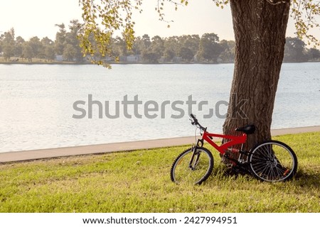 bike by the tree by the lake
