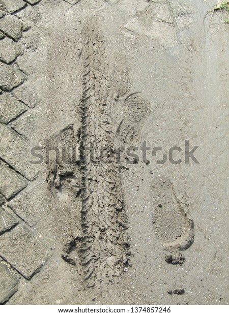 Bike car motorcycle marks Tire track in muddy roads\
wetlands. Trail on dirt road texture after heavy rain  rural way.\
Tyre tracks on dirt sandy mud soil grunge tone, drive on sand off\
With pave tiles 