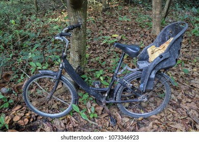 Bike In The Forest Of La Digue Island. Beautiful Tropical Nature Of Seychelles Islands