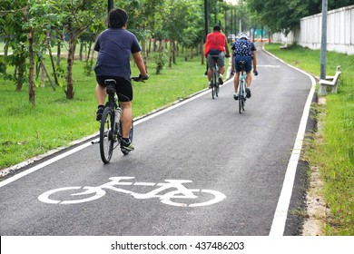 A bike lane for cyclist. Bicycle lane in the park                               