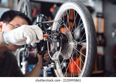 Bike mechanic adjust Rear Derailleur and repair bicycle in workshop. ,bicycle maintenance and repair concept