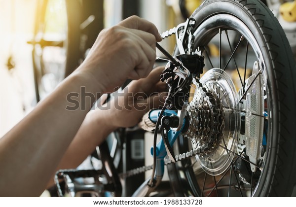 Bike mechanic\
adjust Rear Derailleur and repair bicycle in workshop. ,bicycle\
maintenance and repair\
concept
