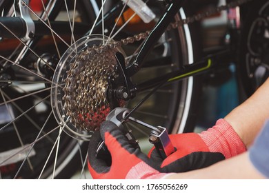 Bike mechanic repairs folding bicycle in Workshop. adjust Rear Derailleur ,Maintenance and repair concept