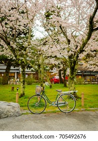 Bike parked in hanami park during cherry blossom season in Kyoto