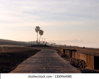 Bike Path And Palm Trees On The Beach At  Dockweiler Beach State Park, Playa Del Rey In Los Angeles, California With Sun Rising Overhead.