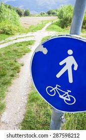 Bike Path In Tuscany Countryside