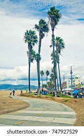 Bike Path In Venice Beach California