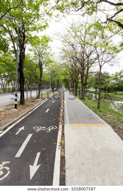 Bike\
path, walk road and white lines with green\
tree.