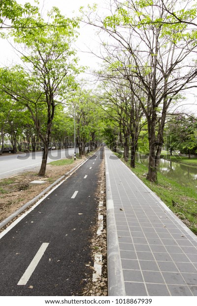 Bike\
path, walk road and white lines with green\
tree.