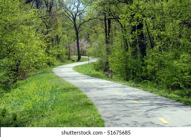 Bike Path Winding Through The Woods