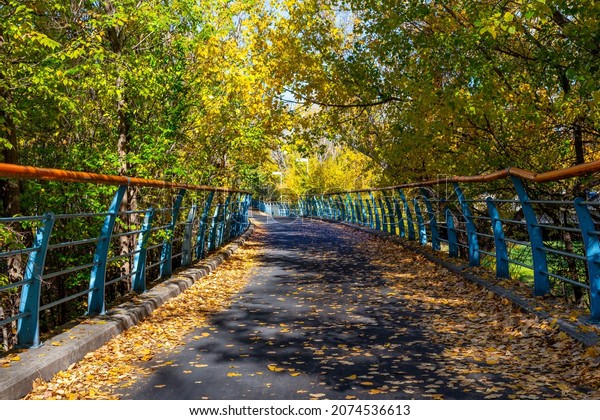 Bike path within a park with the colors of\
autumn. Bike path crossing an iron\
bridge.