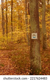 Bike Path In The Woods During Autumn.