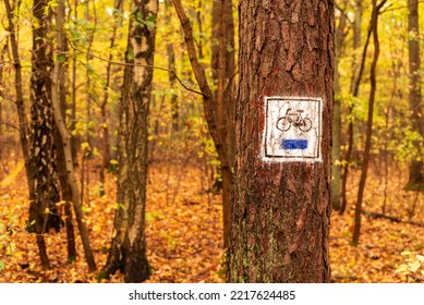 Bike Path In The Woods During Autumn.