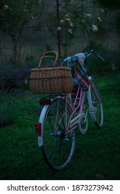 Bike Provence Lavender In The Summer Garden