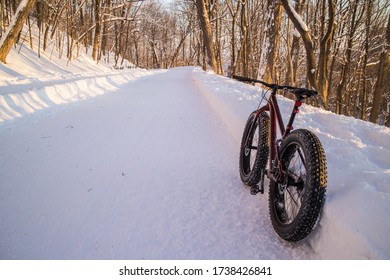 bike in the snow 