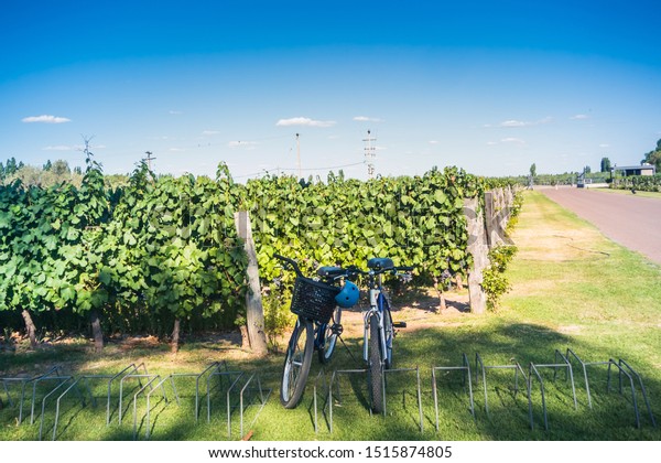 vineyard bike tour