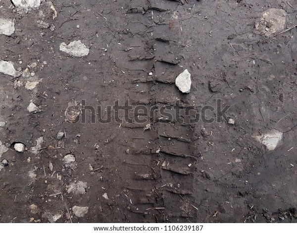 Bike, tractor, excavator, car, automotive tire\
tracks on muddy trail. Mud and wheel trace on road after rain. Mud\
with truck wheel track in rainy day. Background, texture, material,\
wallpaper.