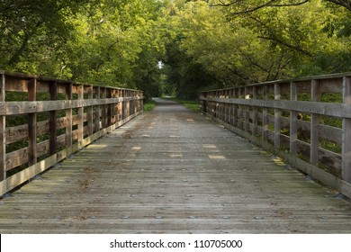 Bike Trail In Summer