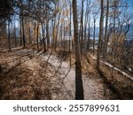 Bike trail at Tenderfoot Mountain in Silverthorne Colorado in autumn with view of Lake Dillon