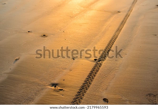 Bike tyre treads\
patterns impression on wet beach sand with evening golden sunlight\
on the sand shining.