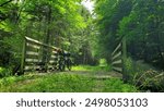 Bikepacking along the West Fork Trail, Glady, West Virginia