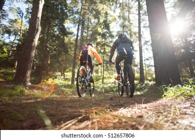 Biker couple riding mountain bike in the forest at countryside - Powered by Shutterstock