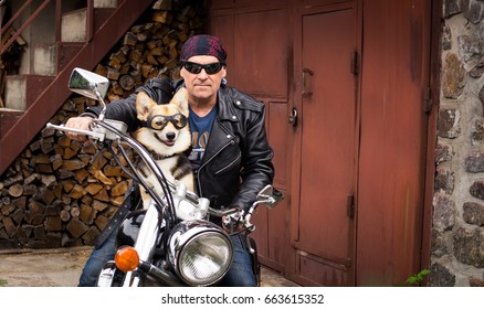 The Biker And His Dog Are Sitting On A Motorcycle.