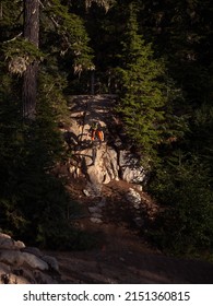 Biking Around Whistler Bike Park