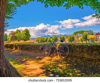 Biking In Lucca Italy Beautiful Tuscany Bike Nature Scenery