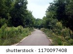 Biking / walking asphalt path making a bend in forest surroundings. Summer day. Taken in Wisconsin (USA).