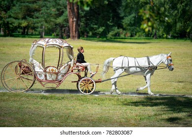 Bila Tserkva, Ukraine - SEP 2, 2017 A carriage and a white horse passing through a summer park