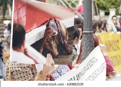 BILBAO, SPAIN - APRIL 29, 2017:  A Group Of Animal Rights Activists Protests Against Bullfighting In The City Of Bilbao.