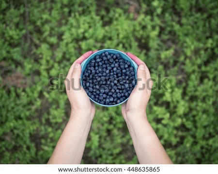 Similar – Foto Bild Kulturheidelbeeren im Garten