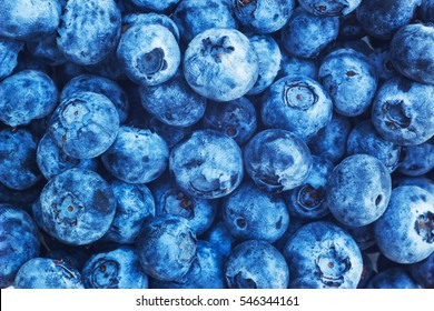 Bilberry Background Texture Nature. Top View Blue