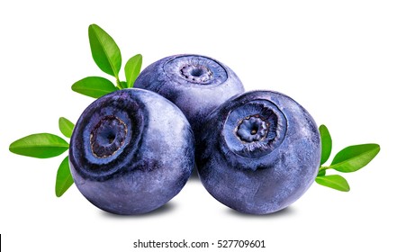 Bilberry Blueberries Isolated On White Background