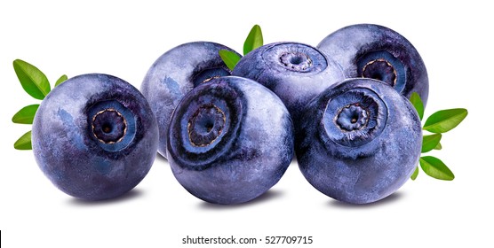 Bilberry Blueberries Isolated On White Background