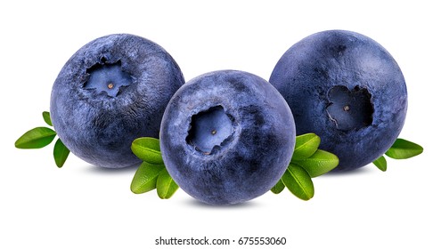 Bilberry, Blueberries Isolated On White Background