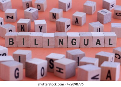 BILINGUAL Word On Wooden Cube Isolated On Orange Background