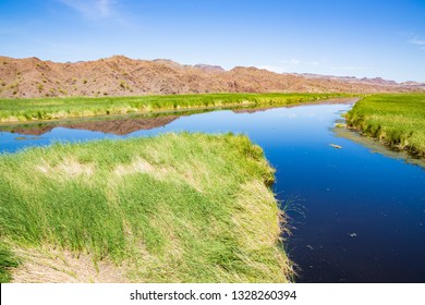 Bill Williams River National Wildlife Refuge In Arizona, Oasis Between Sonoran And Mojave Desert, USA