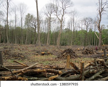 Billericay Essex United Kingdom April 25 Stock Photo 1380597935 ...